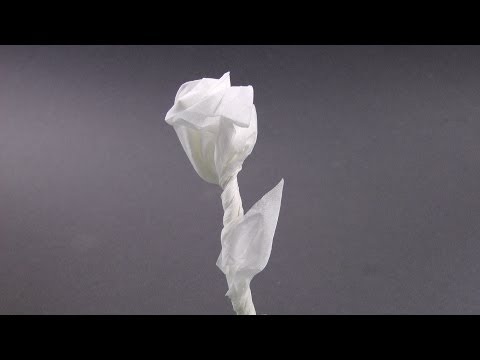 einfache Rose für den Valentinstag