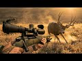The 11 Best Mule Deer Kill Shots Hunting Tips That Work