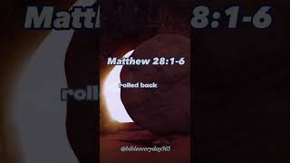 He is risen! Jesus is risen.      #shorts #easter #resurrection