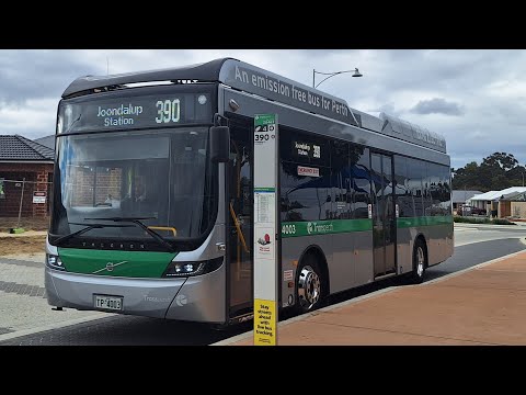[LUCKY!!!] TP Bus Rt No. 390 (TP4003) Banksia Grove (Forever Bvd) to Joondalup Sta. + Deviation