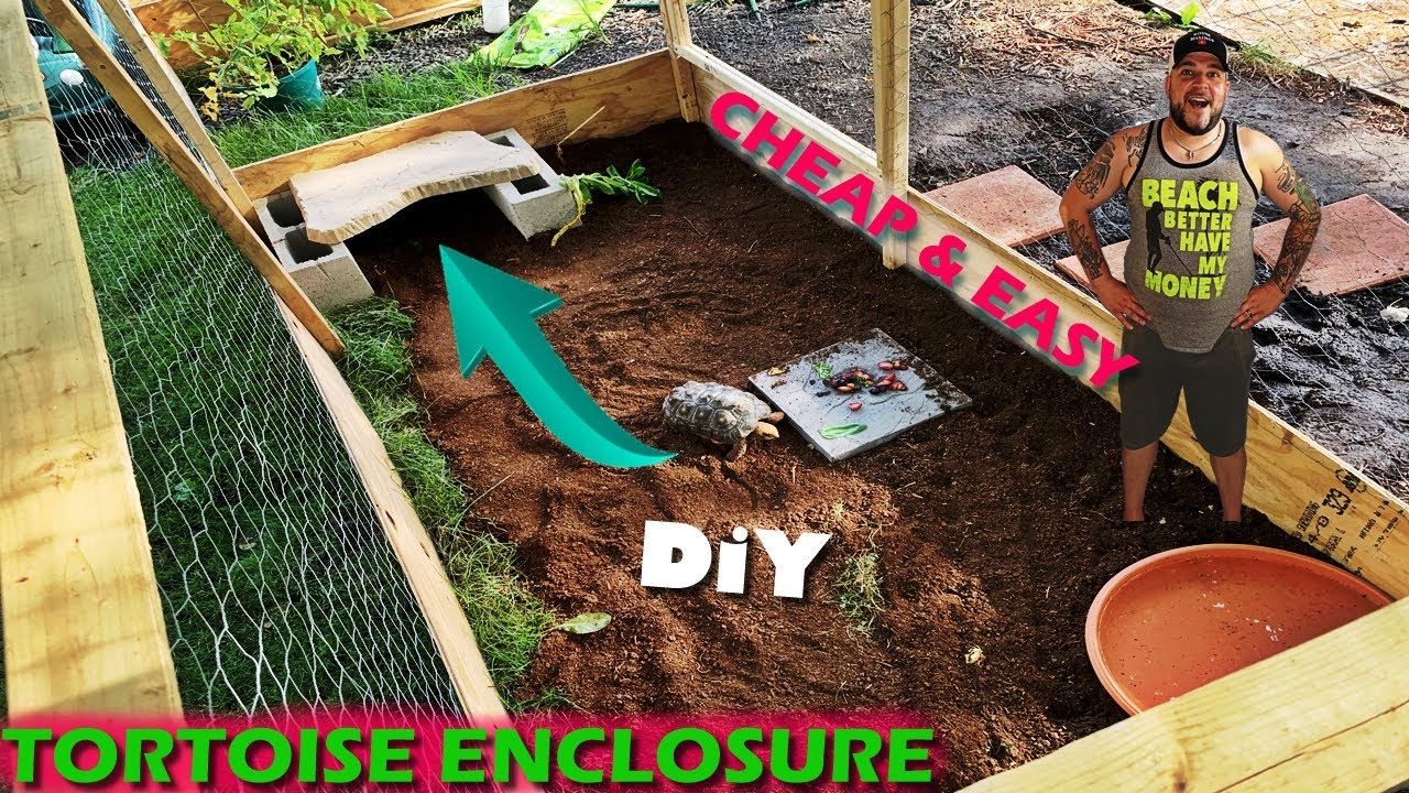 DIY TORTOISE ENCLOSURE (EASY BUILD)