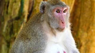 Pregnant Jane hurt stomach & sleep when baby move | Million pity & sad to see Jane hurt