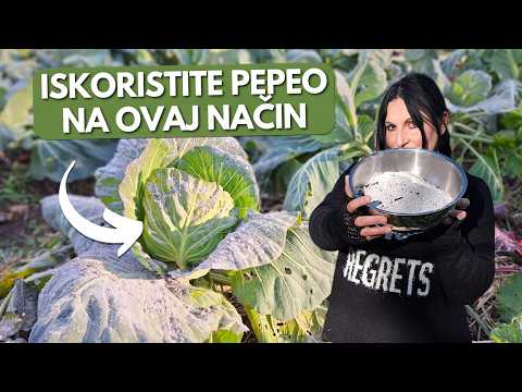 This Is How I Use ASH in the Garden - 10 EFFECTIVE Ways