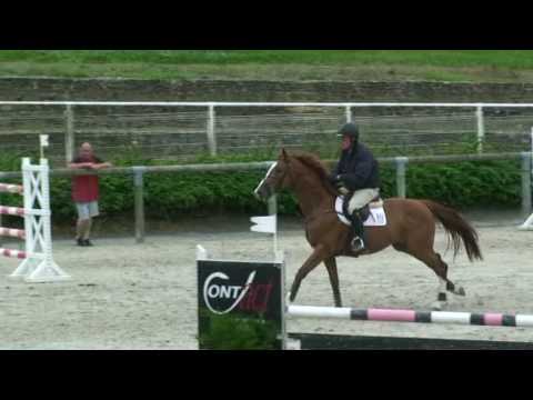 ♂ Pacifique de la Cour- jumping stallion  (SF) by Lando