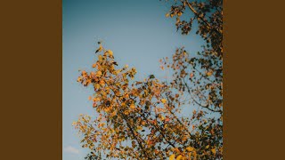 Download lagu Indah Bola Mata mp3