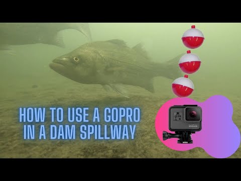 How to Use a GoPro to Video HUGE fish in a Dam Spillway!