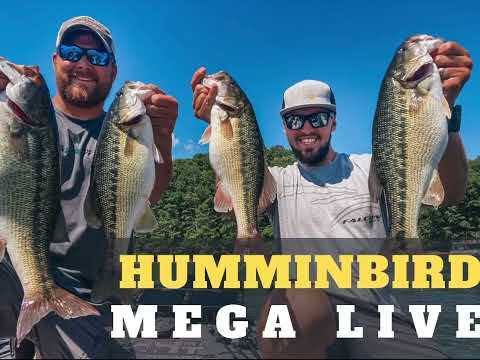 Humminbird Mega Live Install and On Water First Impressions🎣🔥