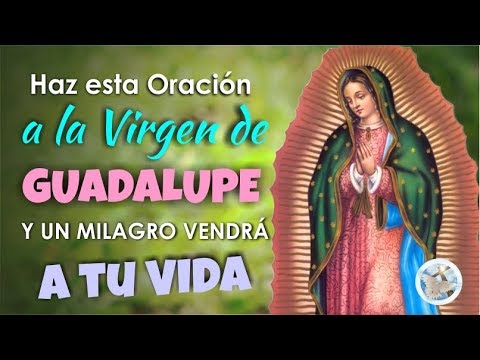 Say this prayer to the Virgin of Guadalupe and a miracle will come to your life.