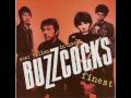 The Buzzcocks - Ever Fallen In Love (With Someone You Shouldn't've)