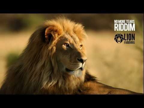 Reggae Instrumental - "No More Tears"