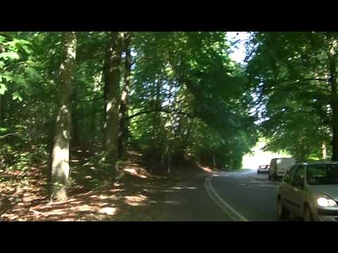 MongoTV_561 - Del 10 - Fede John På Skovtur Og Søndagsudflugt - 23.August 2015