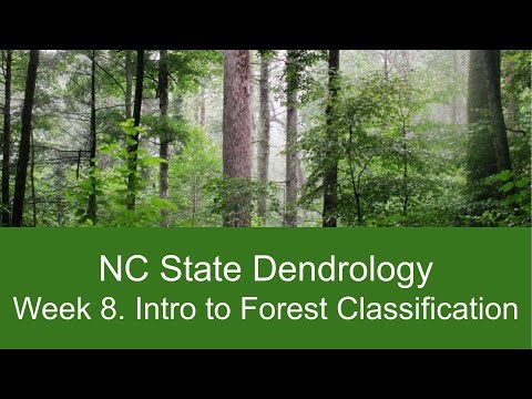Introduction to Forest Types