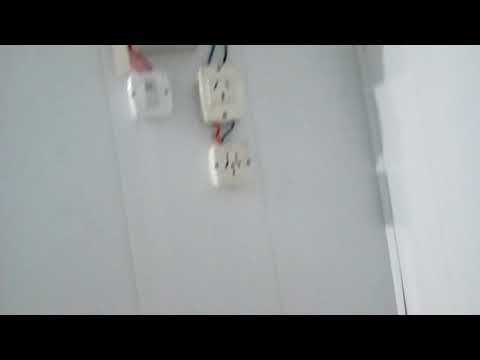 Sala de extraccion de miel de abejas Grupo Famailla(1)