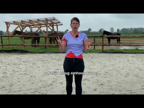 Help! Mijn paardenbak is te nat! Hoe komt dat toch?