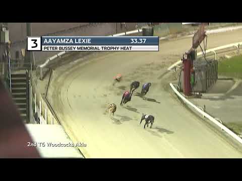 2021 PETER BUSSEY MEMORIAL - HEAT 3 - T3 AAYAMZA LEXIE
