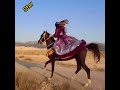 Watch an interesting  Bakhtiari woman galloping on a horse. A woman with zeal is a Bakhtiari woman