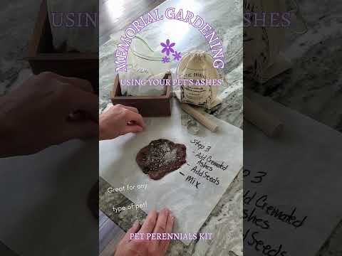 Making a Memorial Garden with Your Pet's Ashes (Part One)