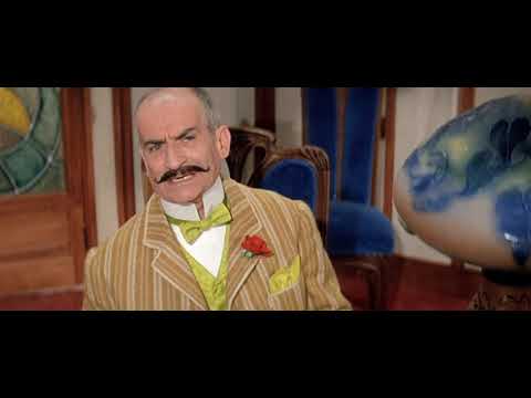 Louis de Funès - What did your wife die of? (english subtitles)