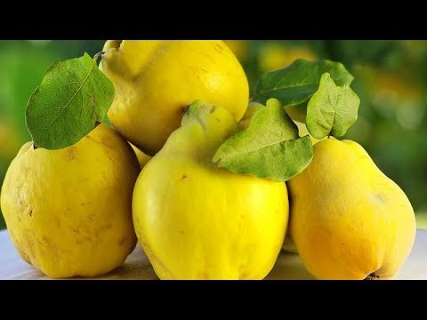 Межпозвонковая грыжа 6мм Продуло спину что болит