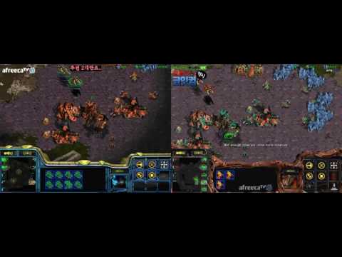 DUAL FPVOD: Bisu vs Effort PvZ @ Eye of the Storm [2016-11-23]