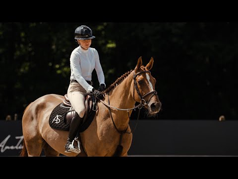 Togo di Magico de Res Nova - Profile