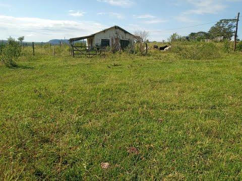 FAZENDA FRANCA RIFAINA 44 ALQUEIRES  A 100 MIL O ALQUEIRE OPORTUNIDADE