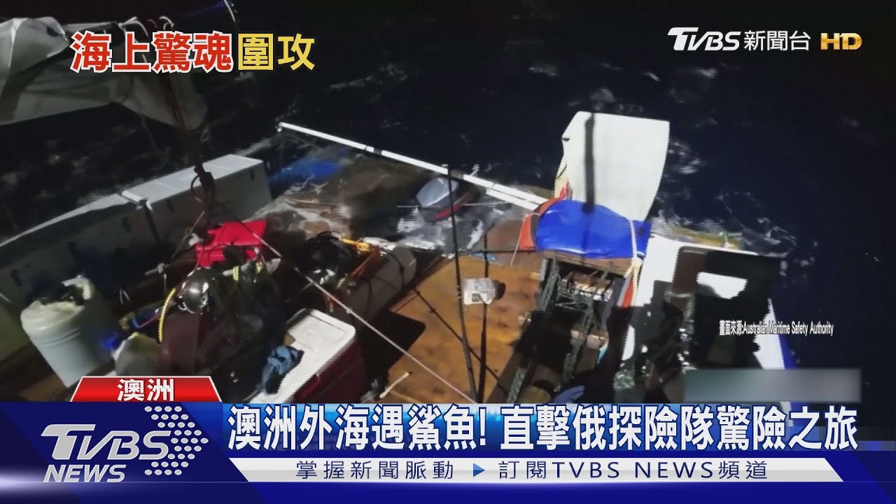 澳洲外海遇鯊魚! 船被咬掉1/3直擊俄羅斯探險隊驚險之旅