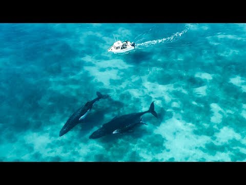 YBS Liquid Cinema Ep 4 - Endless Horizons