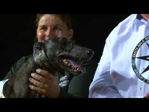 2019 Fanta Bale Super Stayers