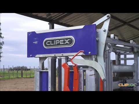 Remate Los Cerros de San Juan 2025