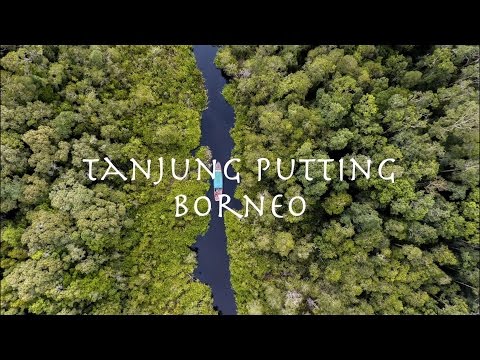 Wonderful Indonesia | Tanjung Puting National Park | Borneo