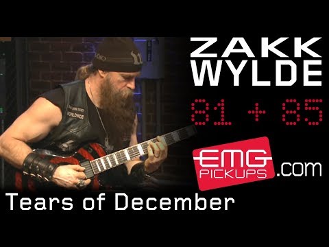 Tears Of December (ver. Acoustic) - Zakk Wylde