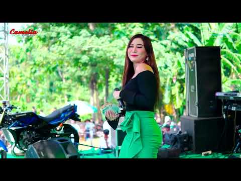 CAMELIA MUSIC - YANG - EVIS RENATA - PARTY SEBOLO KALIJENGKING - BANDENGAN JEPARA