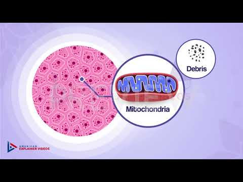 GencelWellness - Customer Success Story