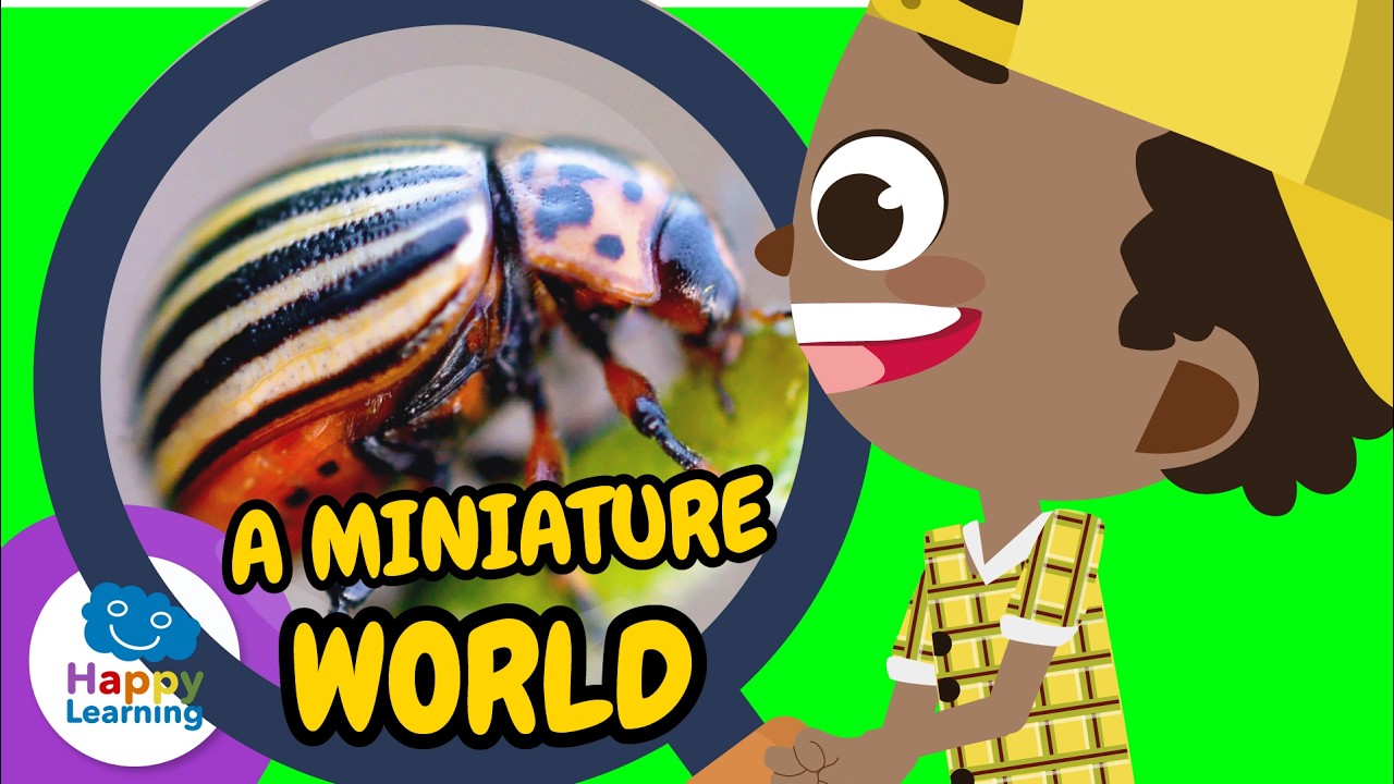 🐜🕷️ Learn with these amazing SPIDERS and INSECTS | Educational Videos for Children @HappyLearningEN
