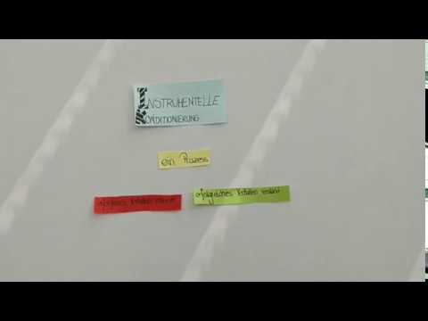 Instrumentelle Konditionierung (Problemkäfig Thorndike)