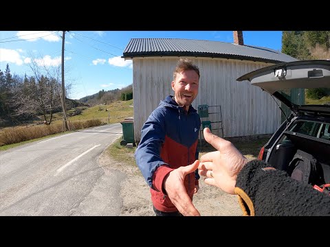 Building the best disc golf course in the world part 117