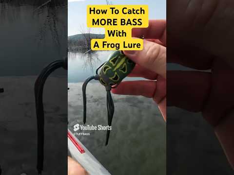 Jak złowić WIĘCEJ RYB za pomocą przynęty powierzchniowej typu żaba!