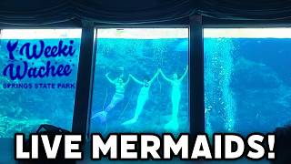 The Weeki Wachee Springs State Park Florida - Live Mermaids!