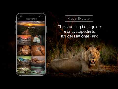 The KrugerExplorer App is now available to download on the App Store & Google Play