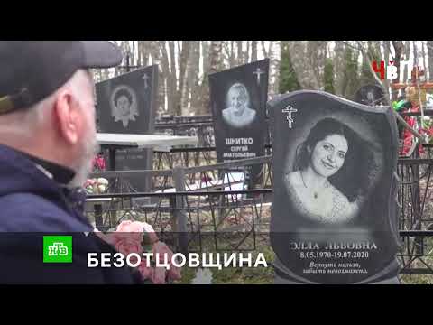 «БЕЗОТЦОВЩИНА»