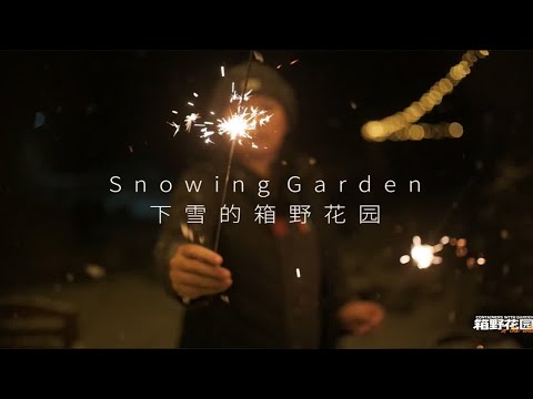 下雪的箱野花园丨Snowing Garden