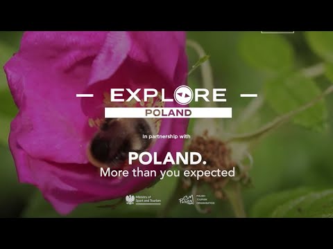 Descubre Subcarpacia—rutas por las Bieszczady, cocina tradicional y castillo renacentista en Polonia