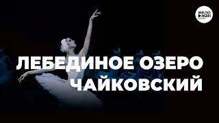 ЧАЙКОВСКИЙ - ЛЕБЕДИНОЕ ОЗЕРО