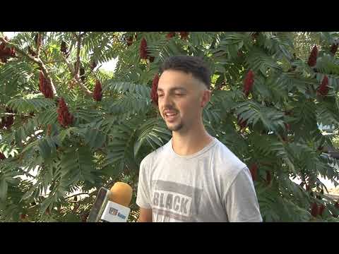 Brusjanin Jovan Burgić najbolji frulaš na saboru frulaša u zaječarskom Grljanu