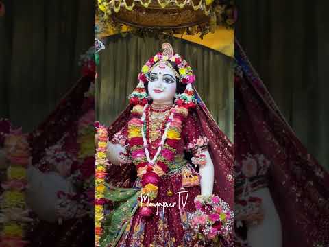 Today’s Darshan of Sri Sri Radhamadhava