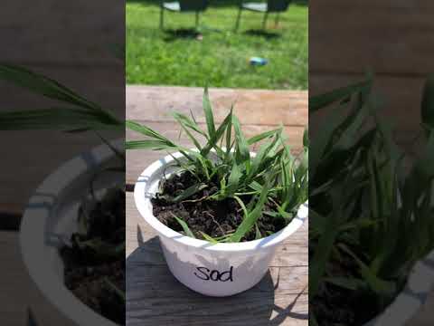 Investigation for OpenSciEd 6.3 Lesson 7 Opening