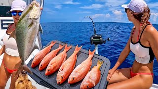 How to Catch Dinner Guaranteed | Deep Drop Fishing in Miami | Vermillion Snapper Ceviche