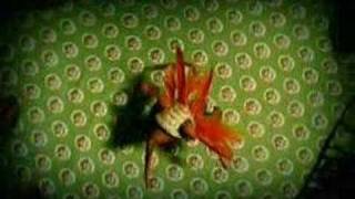 Psapp - Tricycle