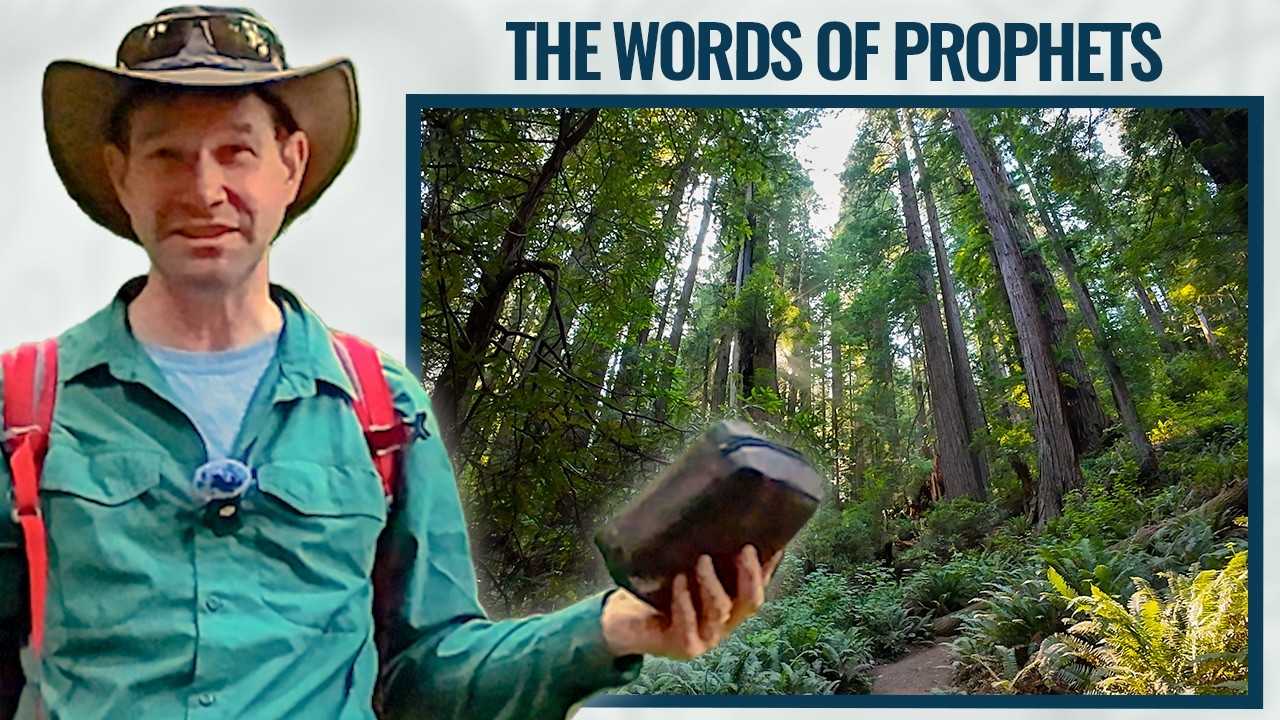 The Redwood Secret: How to Build Unshakable Faith in 2026